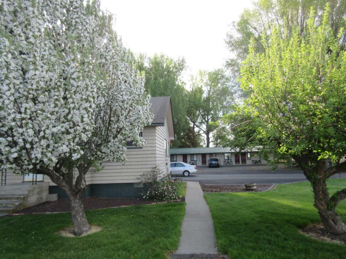 The Willows Motel Wilbur Exterior photo