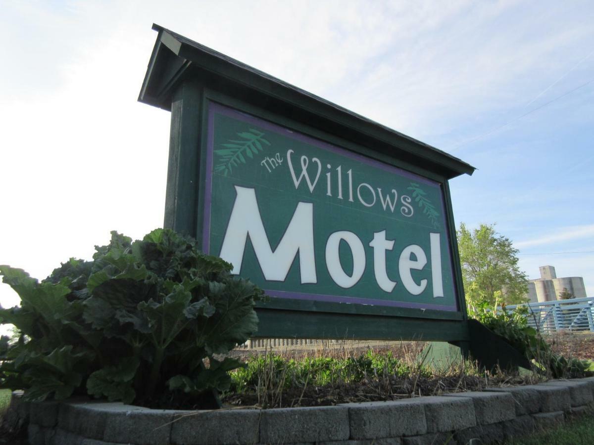 The Willows Motel Wilbur Exterior photo