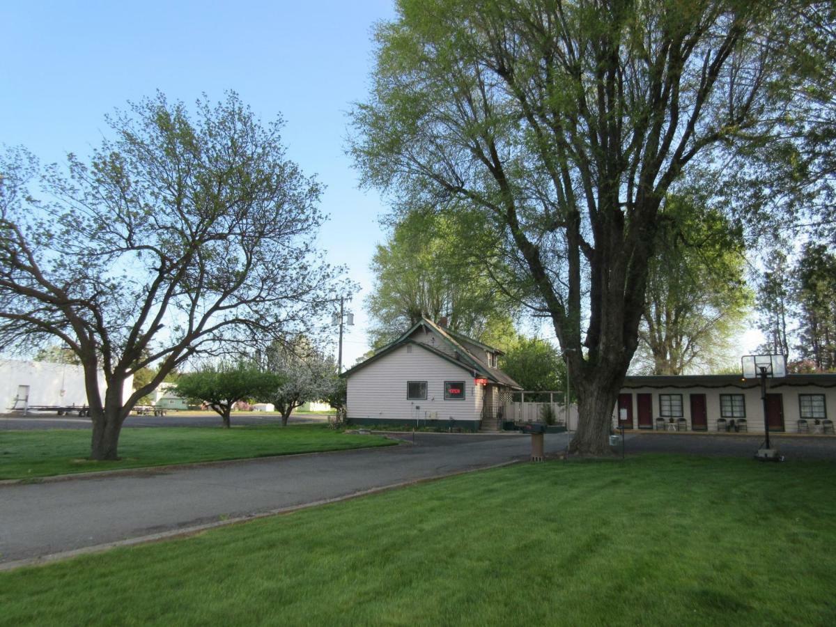 The Willows Motel Wilbur Exterior photo