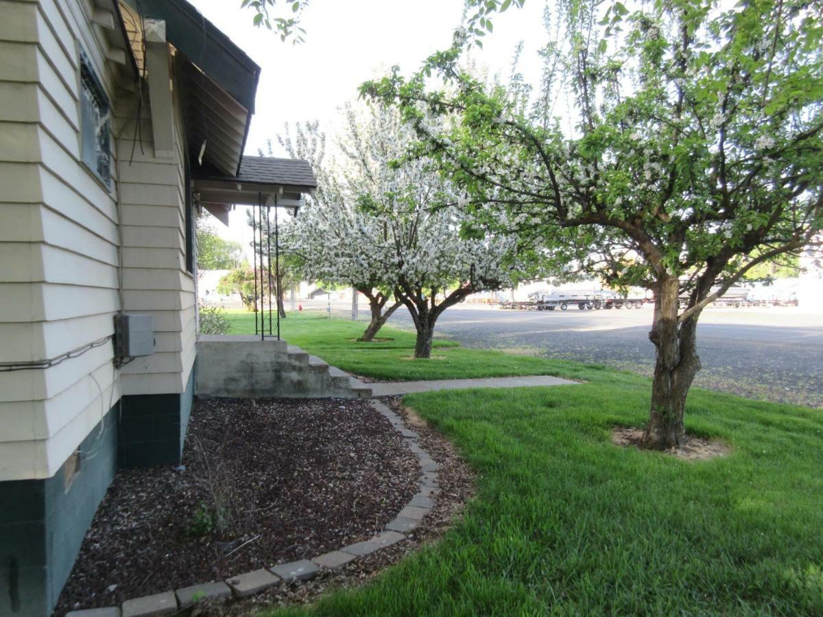 The Willows Motel Wilbur Exterior photo