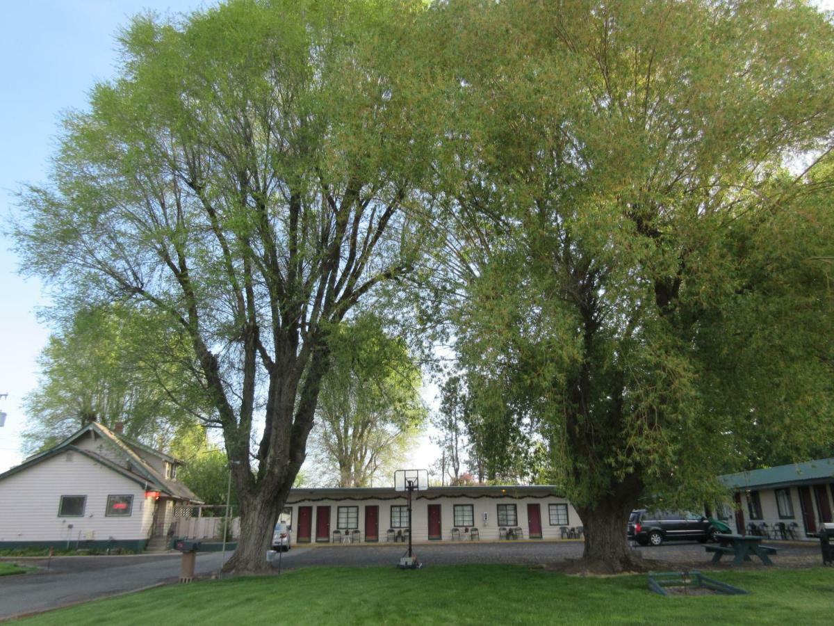 The Willows Motel Wilbur Exterior photo
